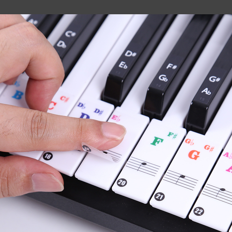 Musical Instrument Keyboard - Transparent Piano Keyboard Stickers 49/54/61/88 Key