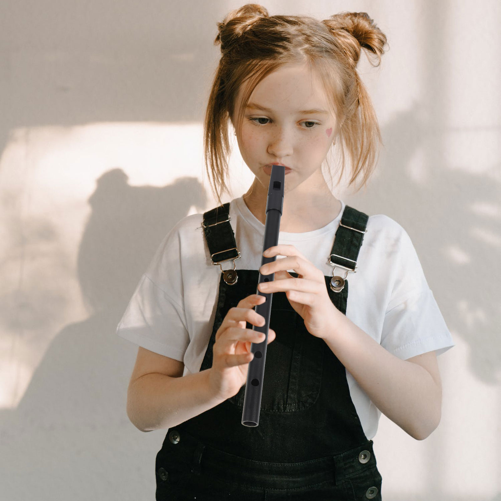 Ireland Clarinet Resin Recorde - Musical Instrument Recorder recensie en prijs
