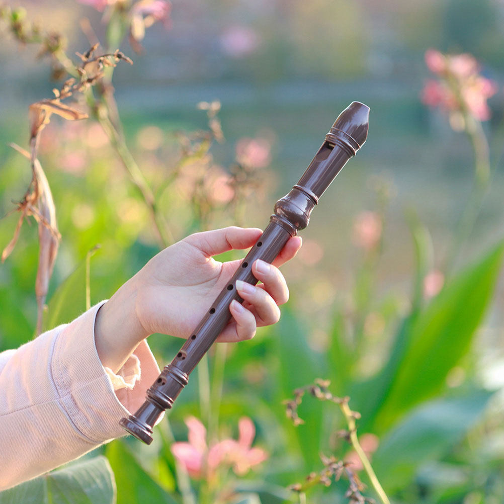 Professional 8 Hole Soprano Re - Musical Instrument Recorder recensie en prijs