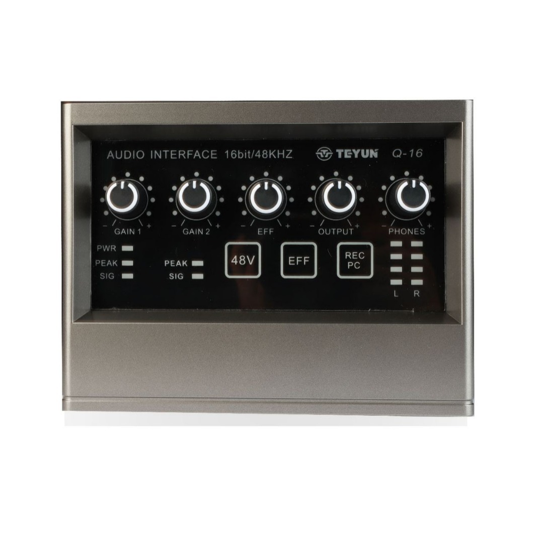 Professional Recording Sound C - Song With Musical Instrument recensie en prijs
