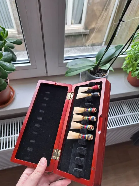 1pcs Bassoon Reed Storage Case - Musical Instrument Bassoon recensie en prijs