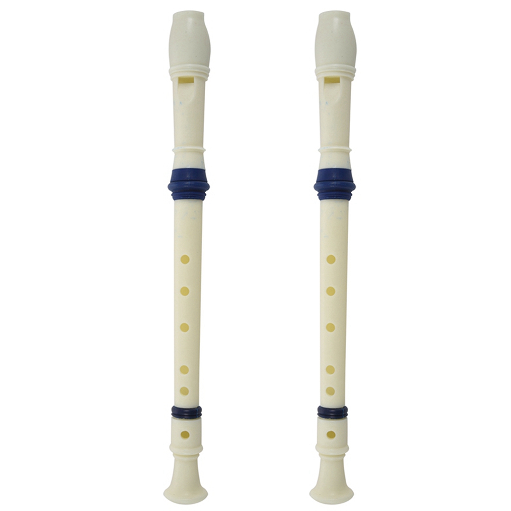 FSTE-2X Music Instrument 6 Hol - Musical Instrument Recorder recensie en prijs