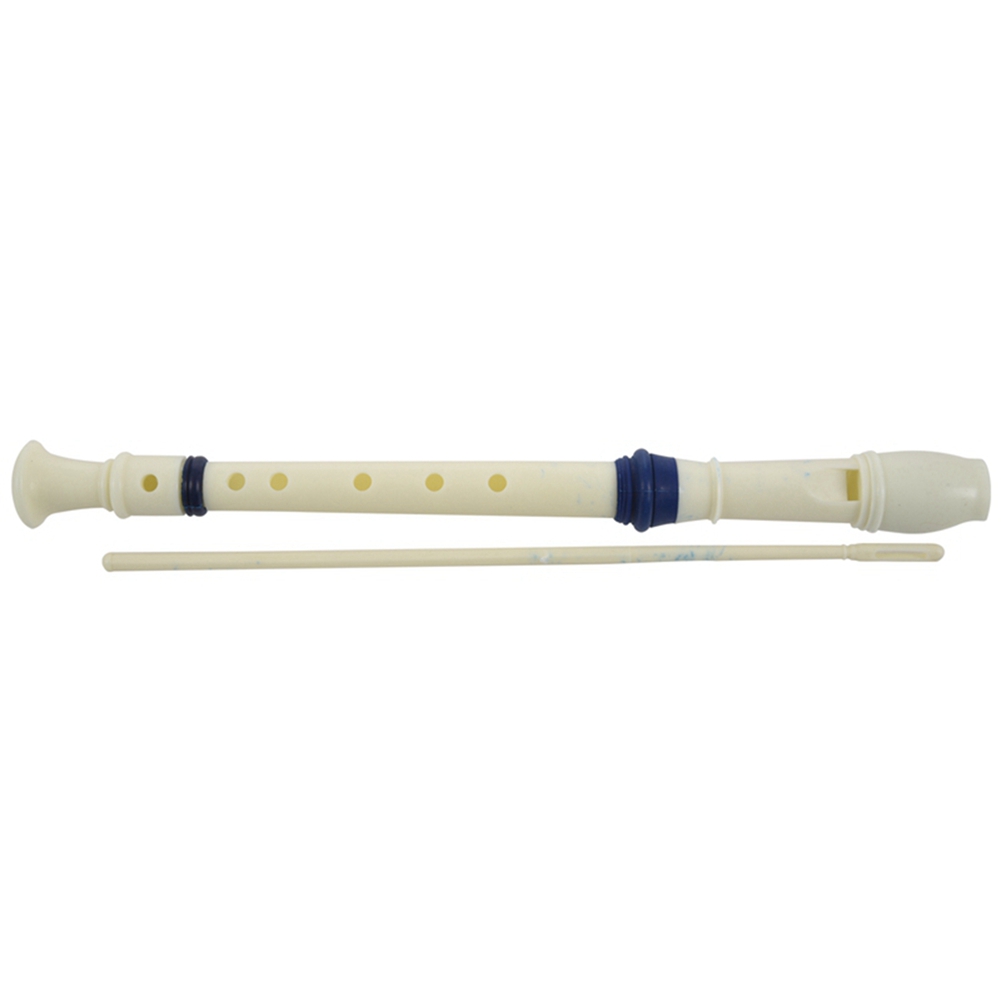 FSTE-2X Music Instrument 6 Hol - Musical Instrument Recorder recensie en prijs