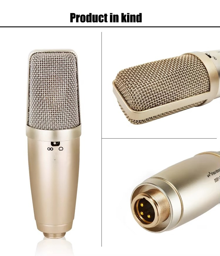 Brand New Kids Microphone With - Song With Musical Instrument recensie en prijs