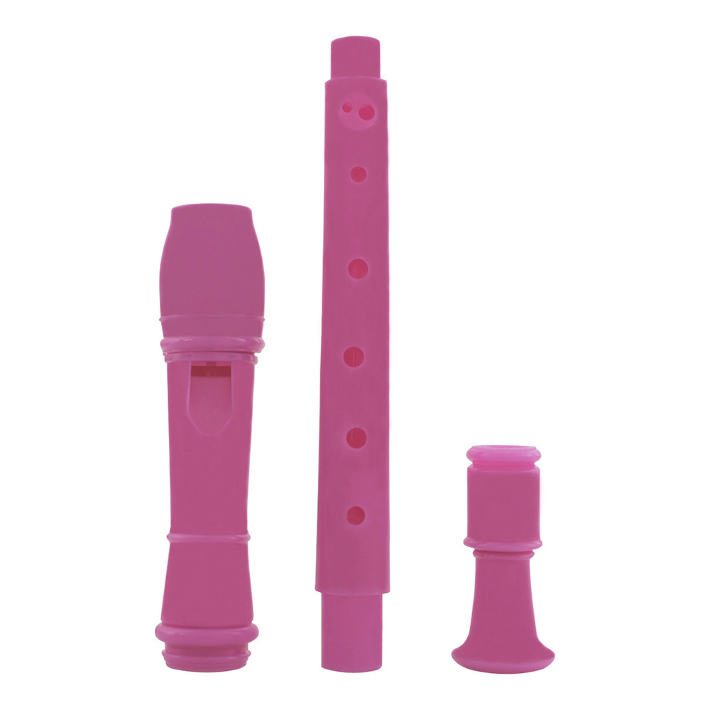 IRIN 8 Hole Flute Clarinet ABS - Musical Instrument Recorder recensie en prijs