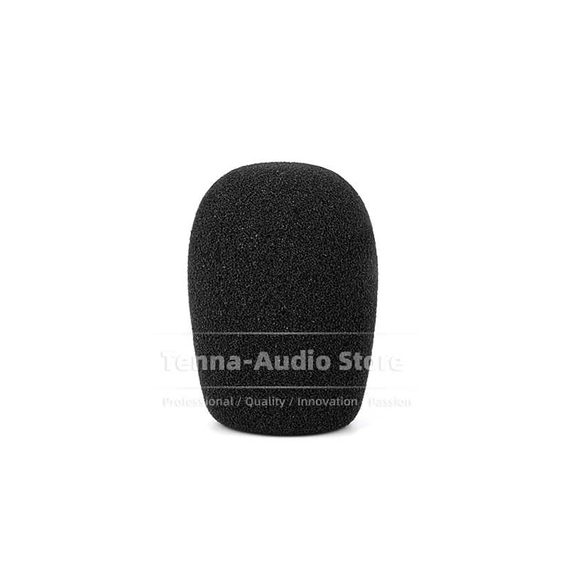 Microphone Windscreen Mike Win - Musical Instrument Recorder recensie en prijs