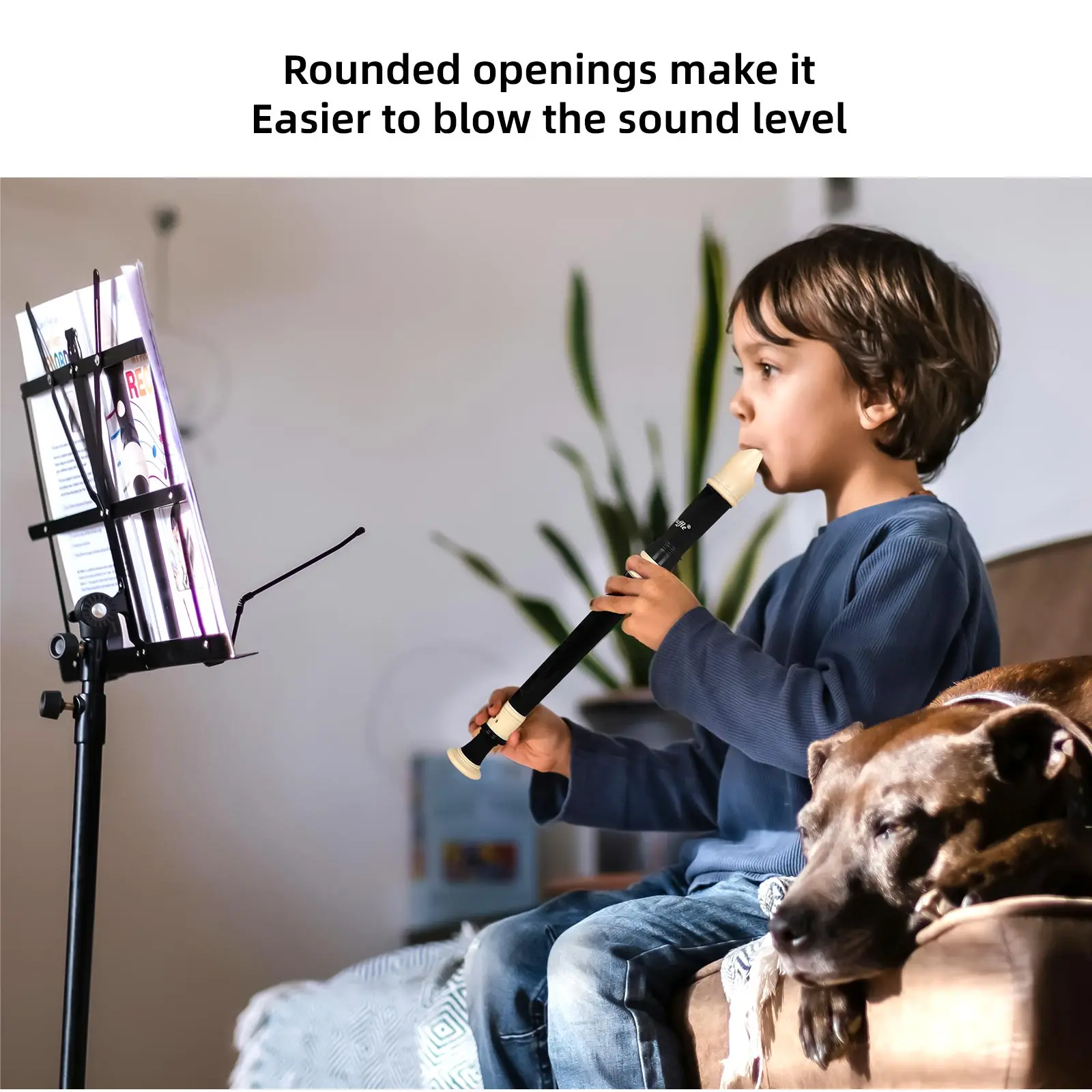 8-Hole Recorder Baroque Style  - Musical Instrument Recorder recensie en prijs